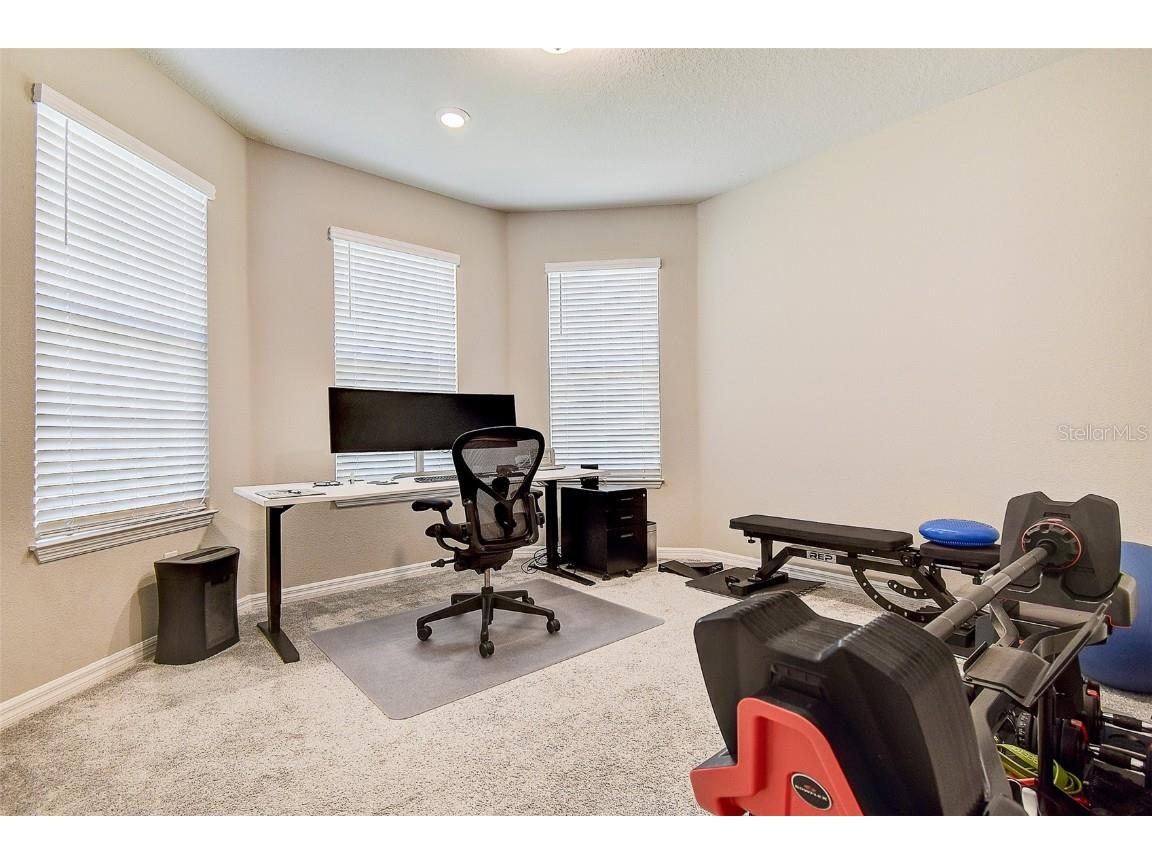 11723 Clare Hill Avenue Riverview FL 33579 TB8432046 image24