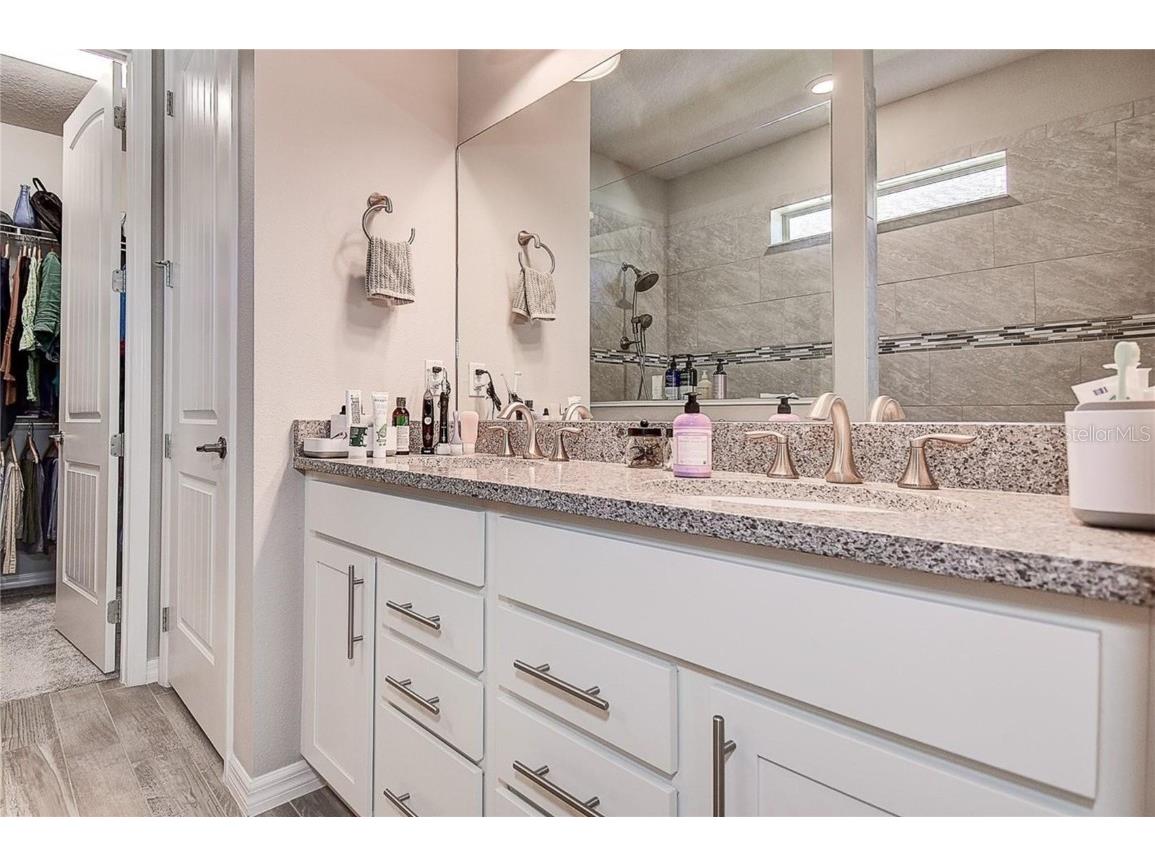 11723 Clare Hill Avenue Riverview FL 33579 TB8432046 image41