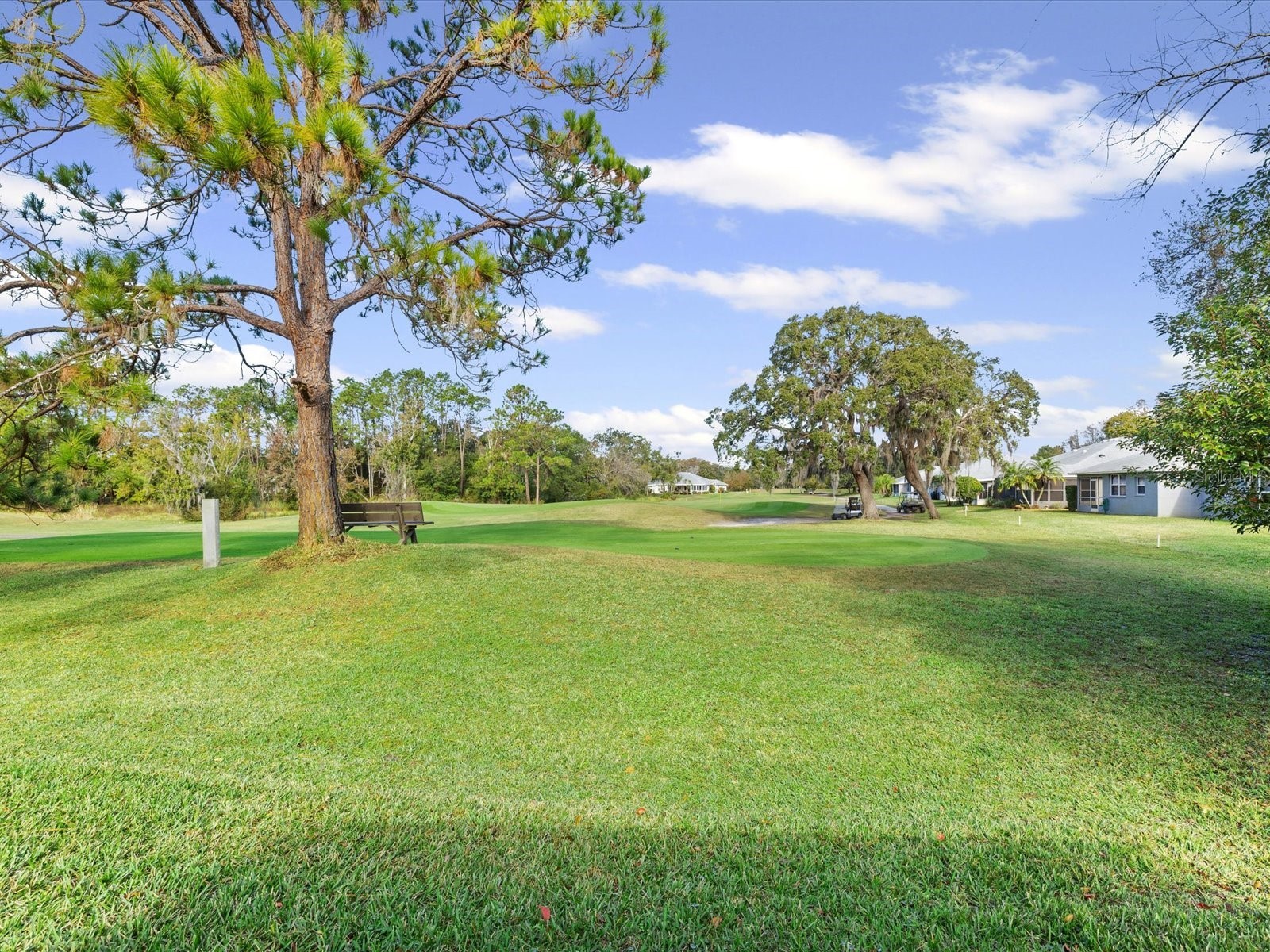 11723 Foxworth Lane New Port Richey FL 34654 W7881328 image23