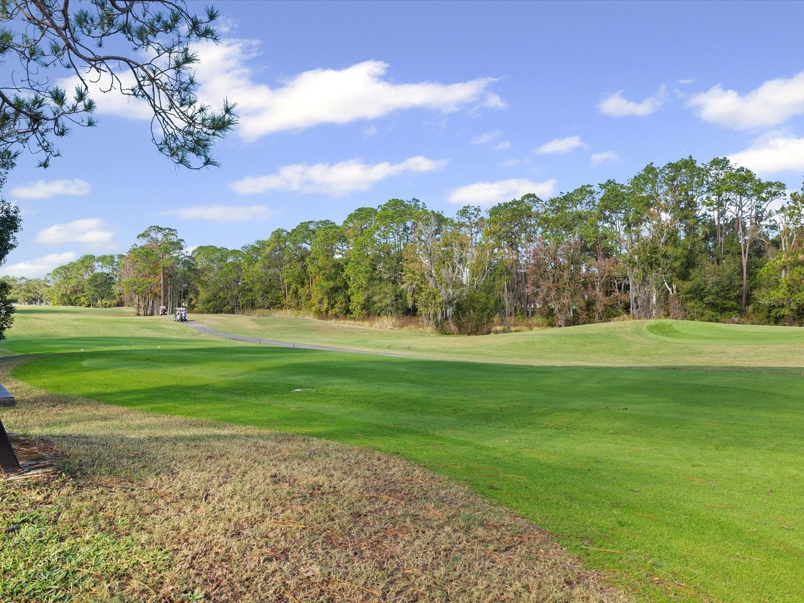 11723 Foxworth Lane New Port Richey FL 34654 W7881328 image26