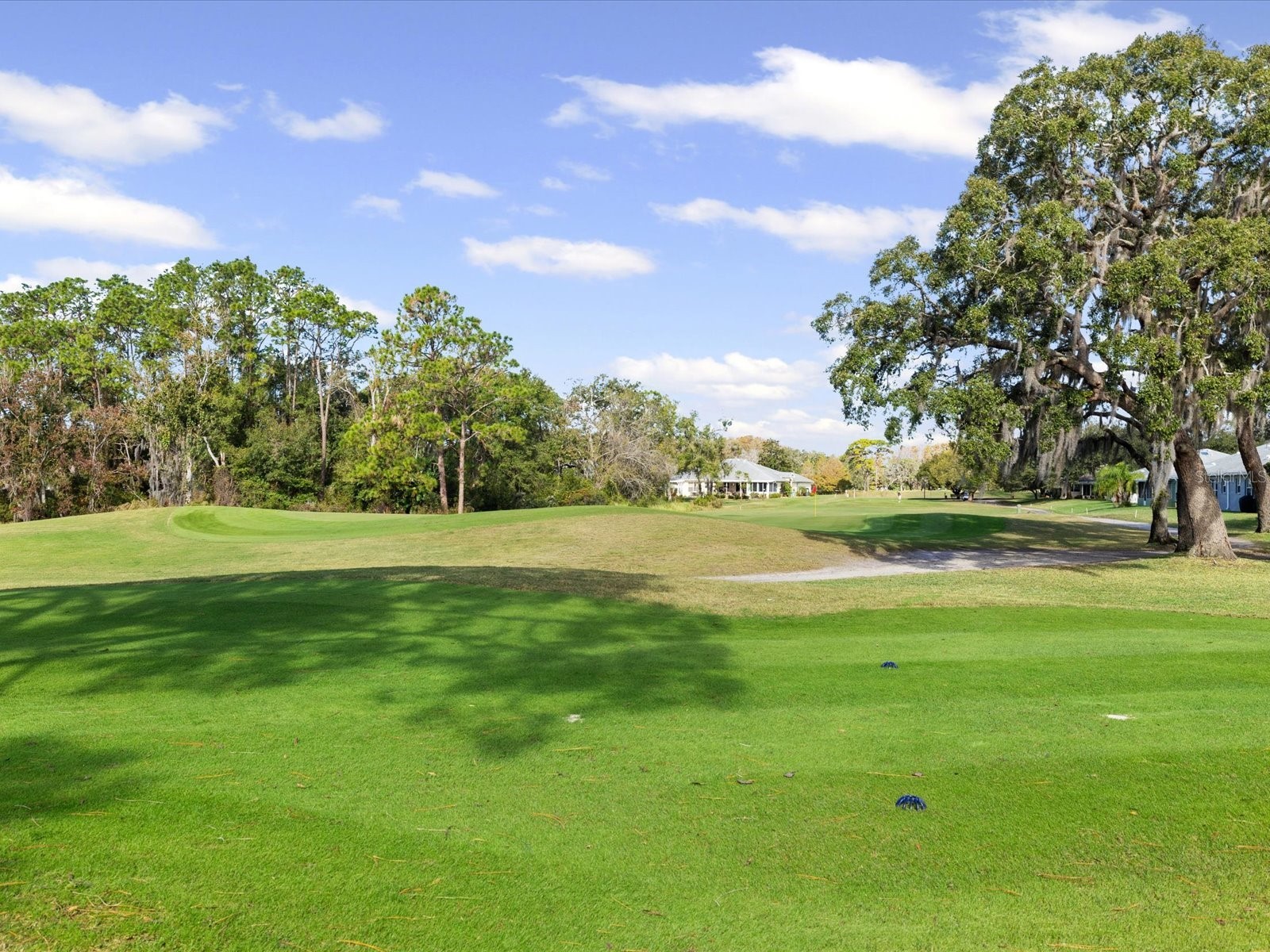 11723 Foxworth Lane New Port Richey FL 34654 W7881328 image27