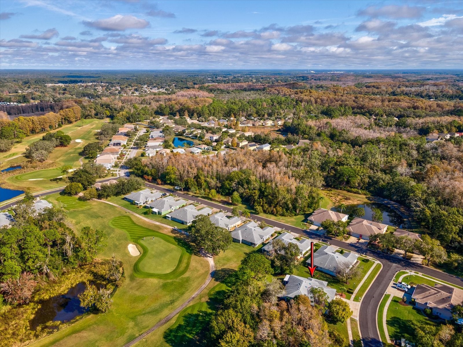 11723 Foxworth Lane New Port Richey FL 34654 W7881328 image34