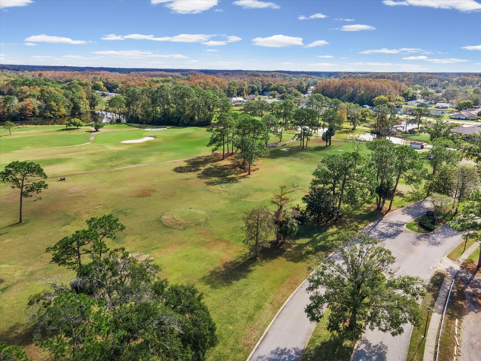 11723 Foxworth Lane New Port Richey FL 34654 W7881328 image61