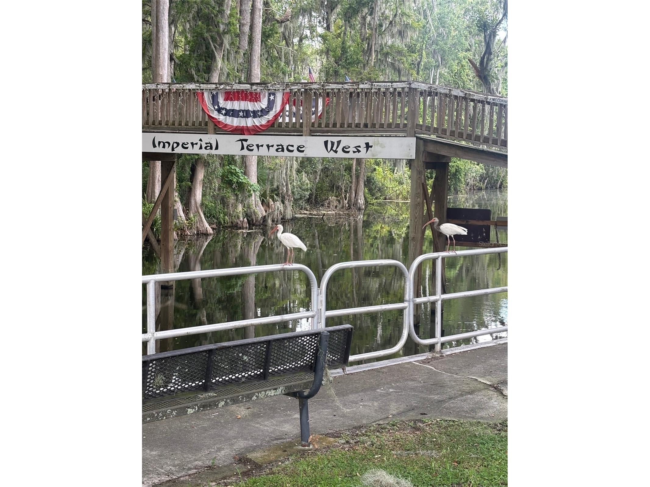 11723 Magnolia Avenue Tavares FL 32778 G5114145 image22