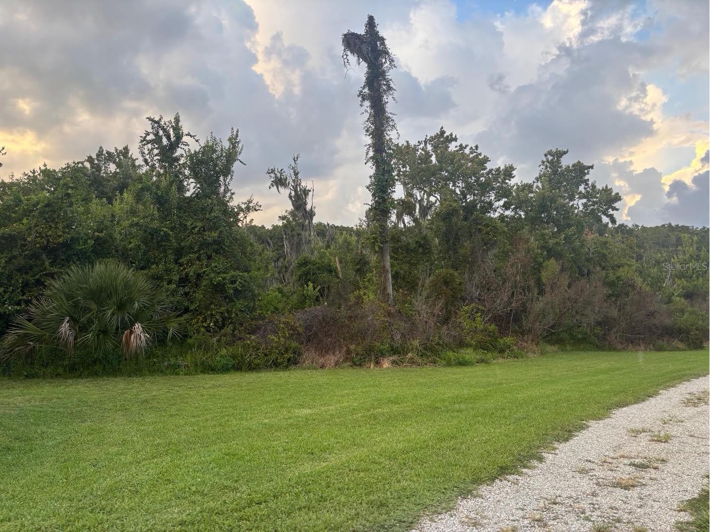11723 Magnolia Avenue Tavares FL 32778 G5114145 image25