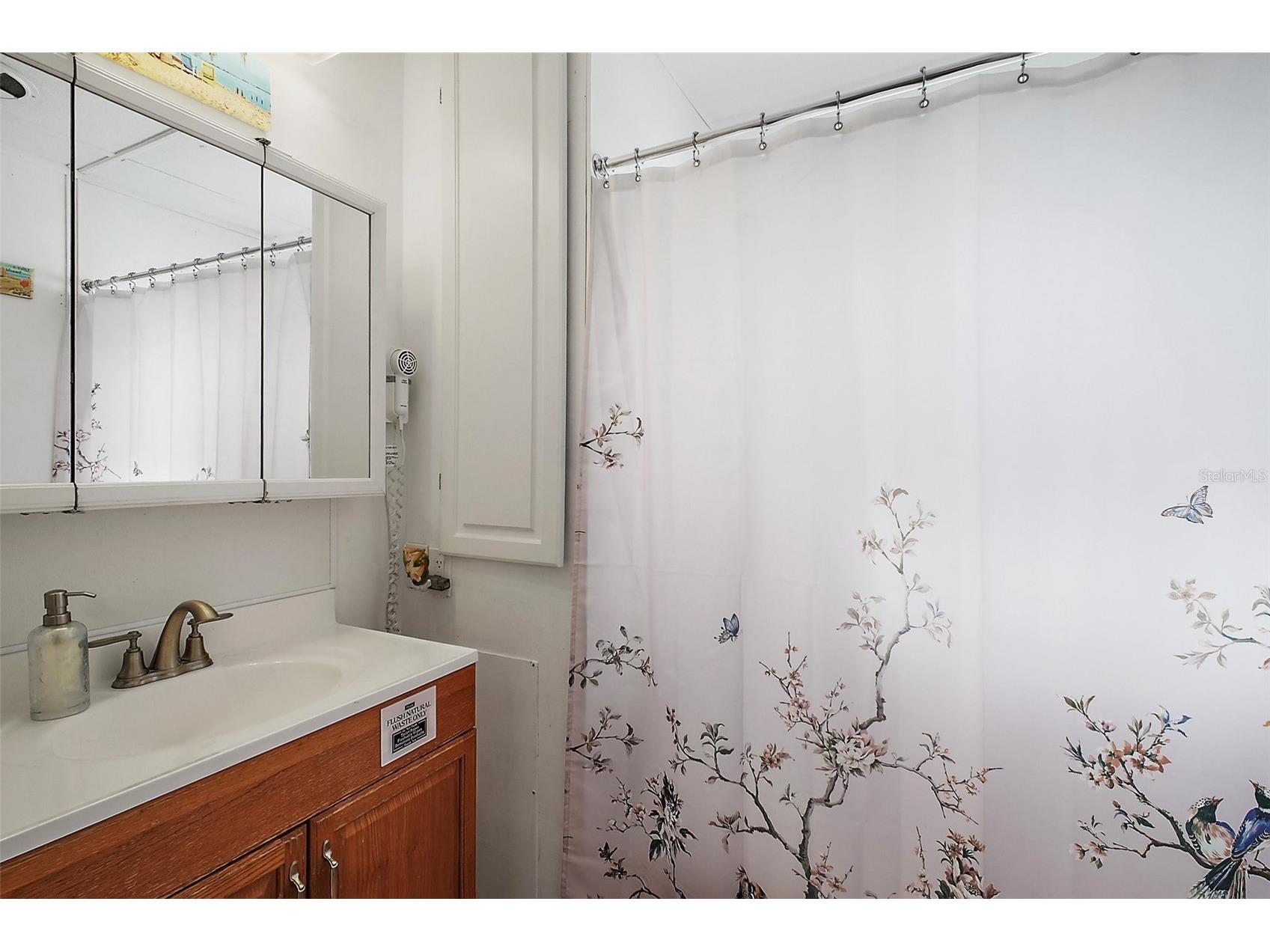 11723 Magnolia Avenue Tavares FL 32778 G5114145 image8