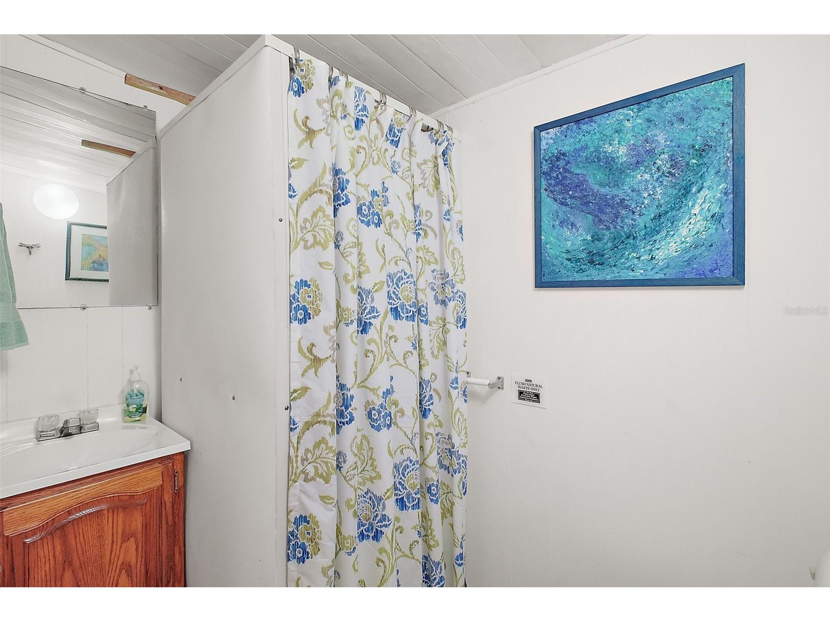 11723 Magnolia Avenue Tavares FL 32778 G5114145 image9