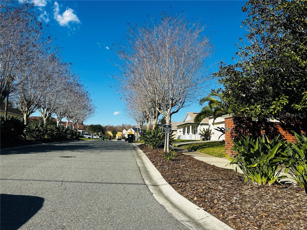 11723 Malverns Loop Orlando FL 32832 S5137549 image3