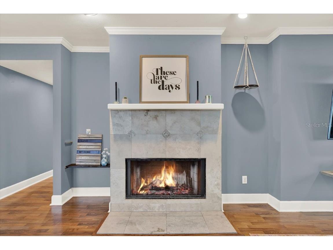 11724 Phoenix Circle Tampa FL 33618 TB8438569 image13