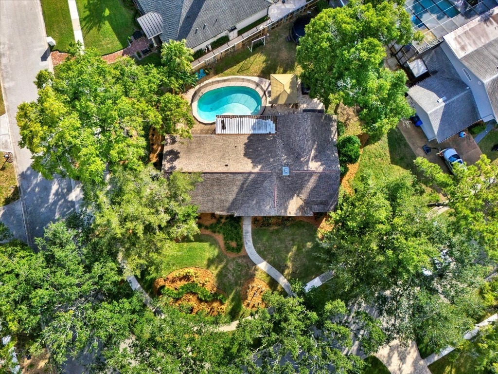 11724 Phoenix Circle Tampa FL 33618 TB8438569 image48