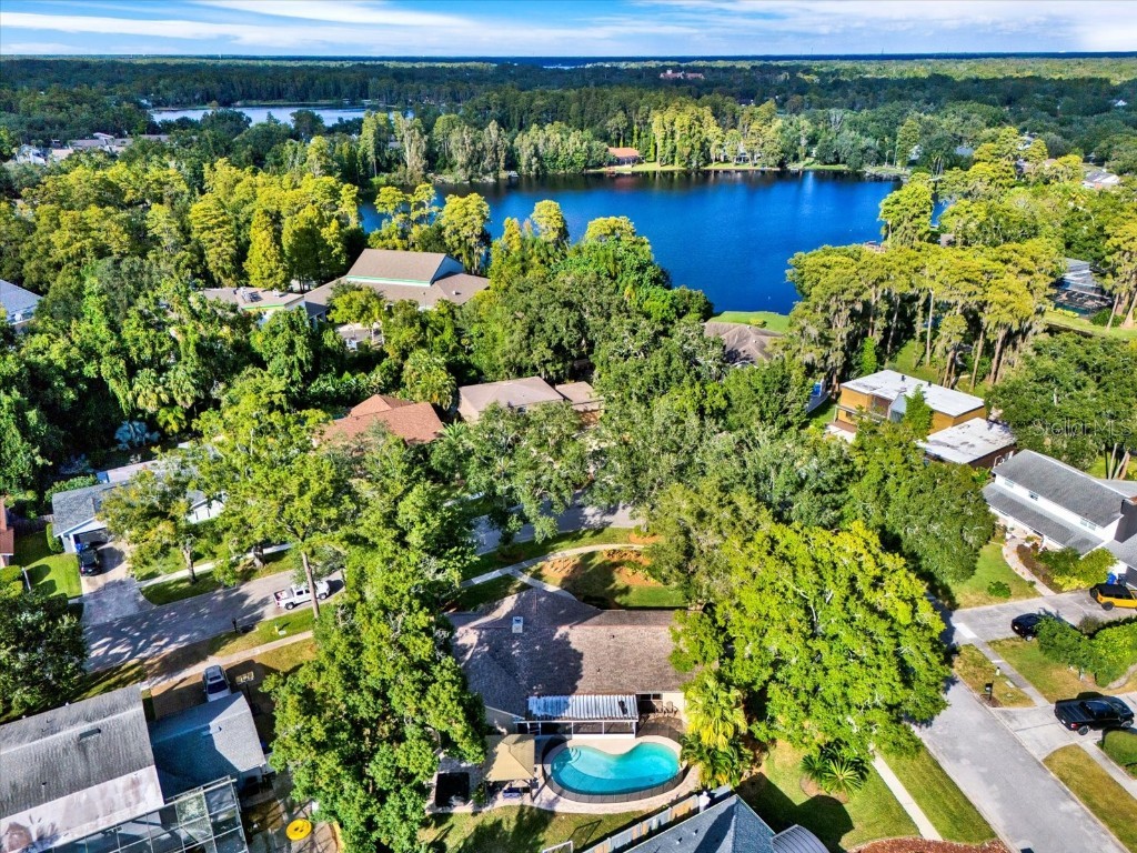 11724 Phoenix Circle Tampa FL 33618 TB8438569 image49