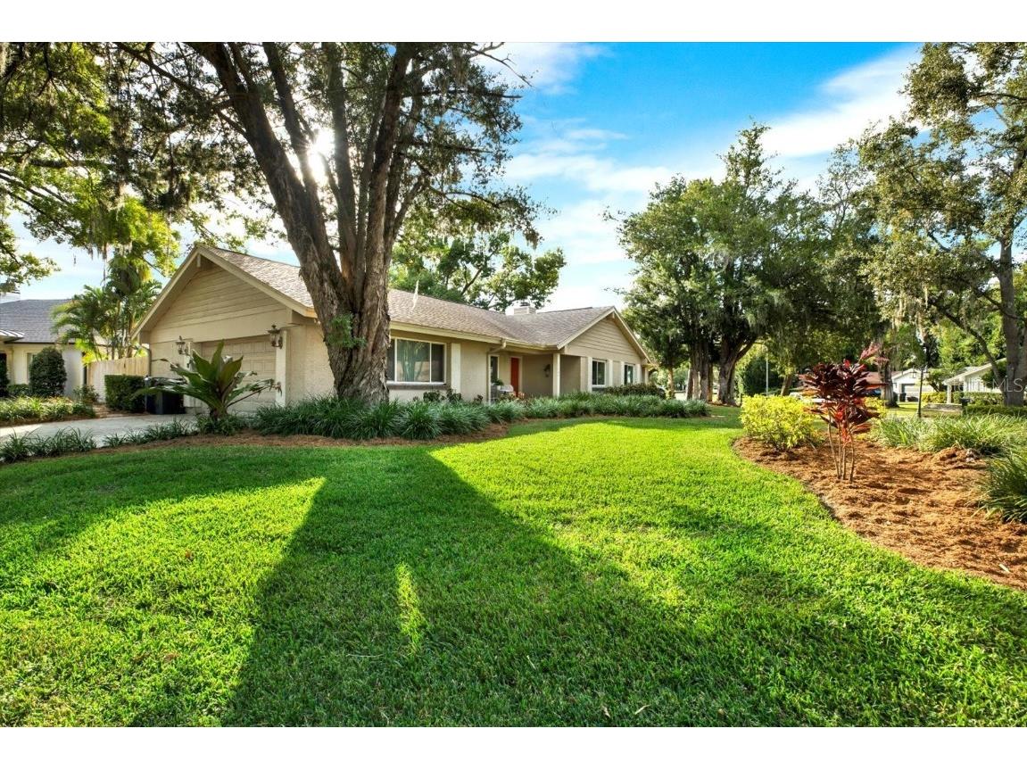 11724 Phoenix Circle Tampa FL 33618 TB8438569 image5