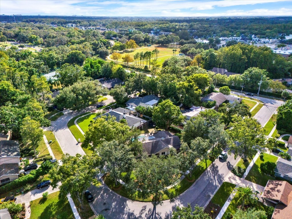 11724 Phoenix Circle Tampa FL 33618 TB8438569 image50