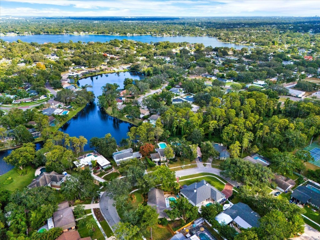 11724 Phoenix Circle Tampa FL 33618 TB8438569 image51