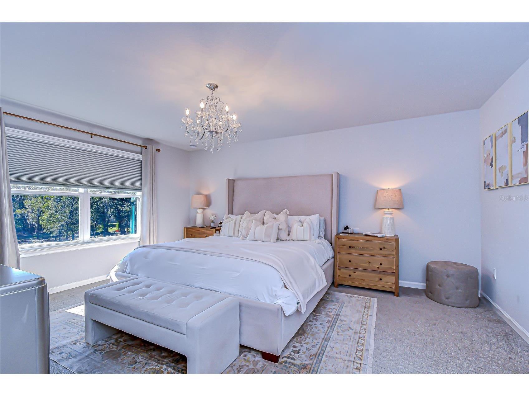 11724 Wrought Pine Loop Riverview FL 33569 TB8459256 image20