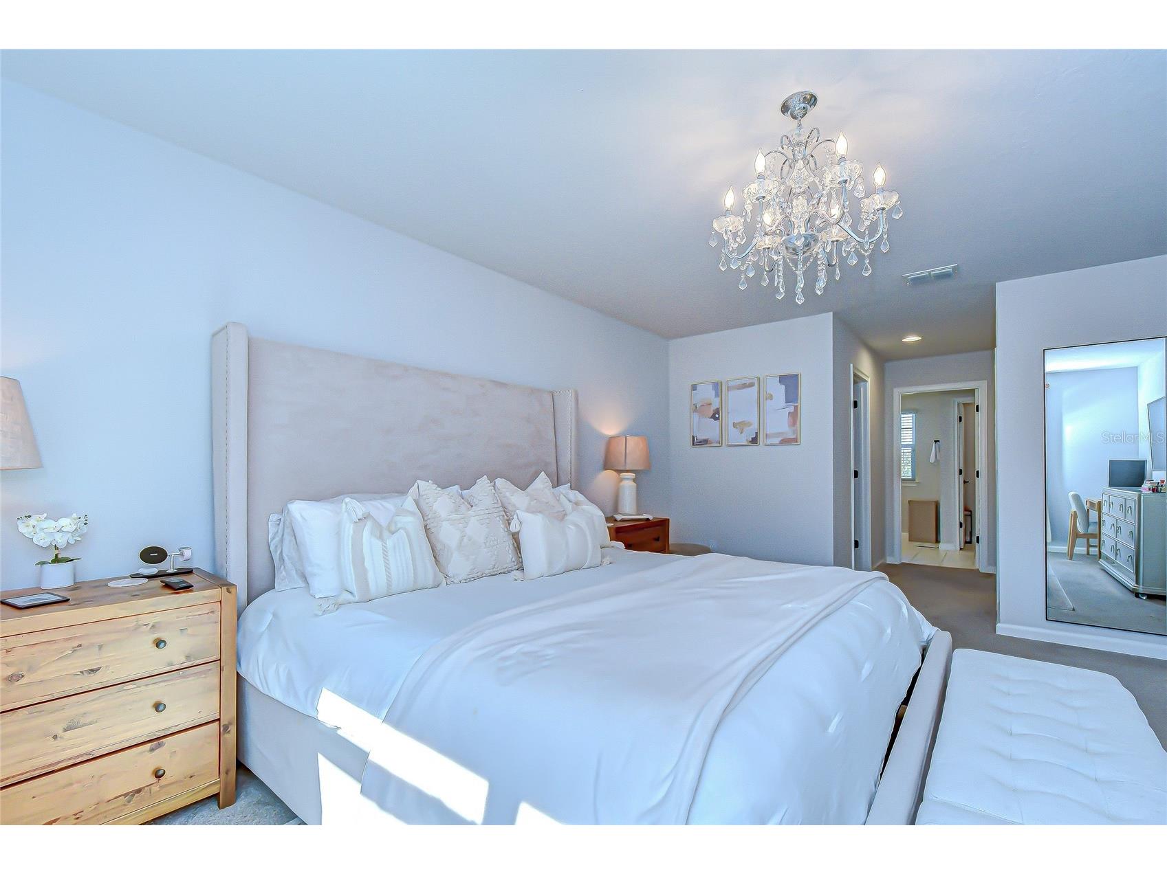 11724 Wrought Pine Loop Riverview FL 33569 TB8459256 image21