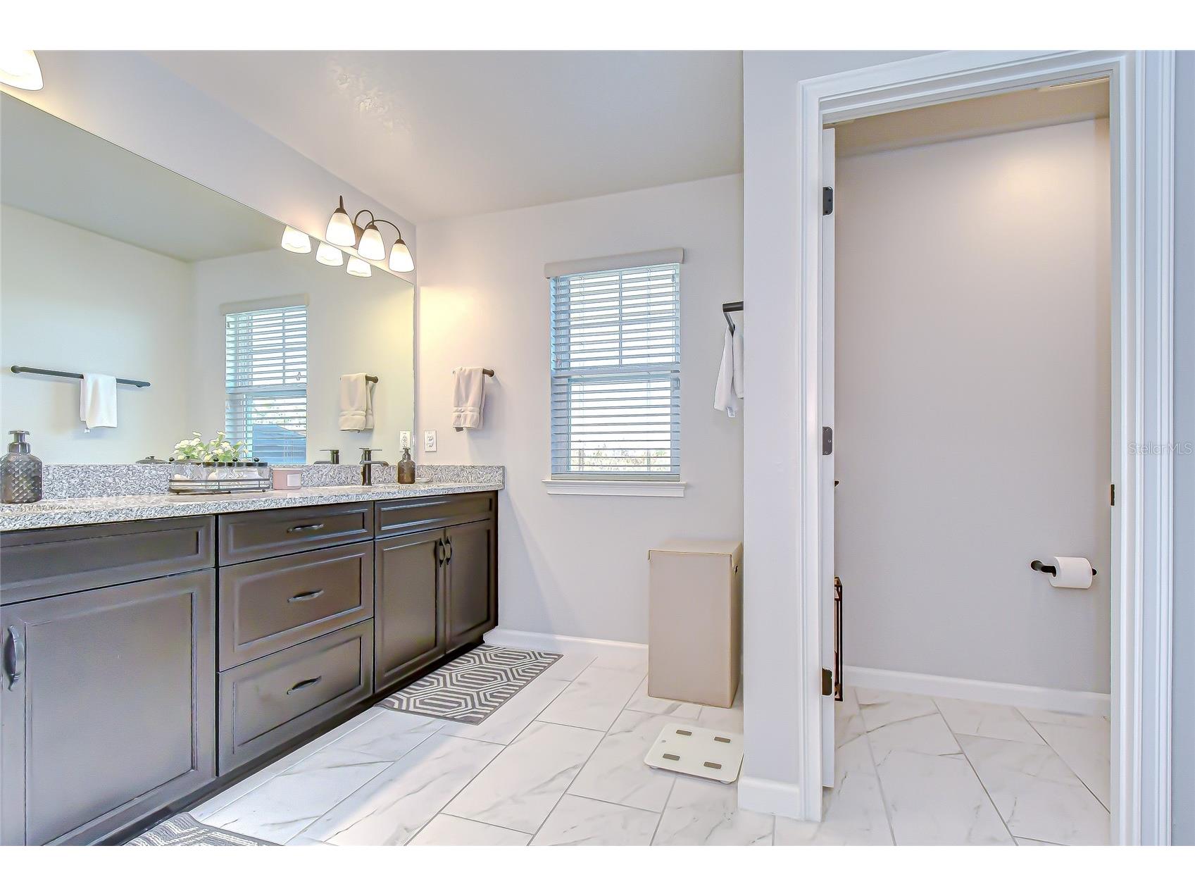 11724 Wrought Pine Loop Riverview FL 33569 TB8459256 image22