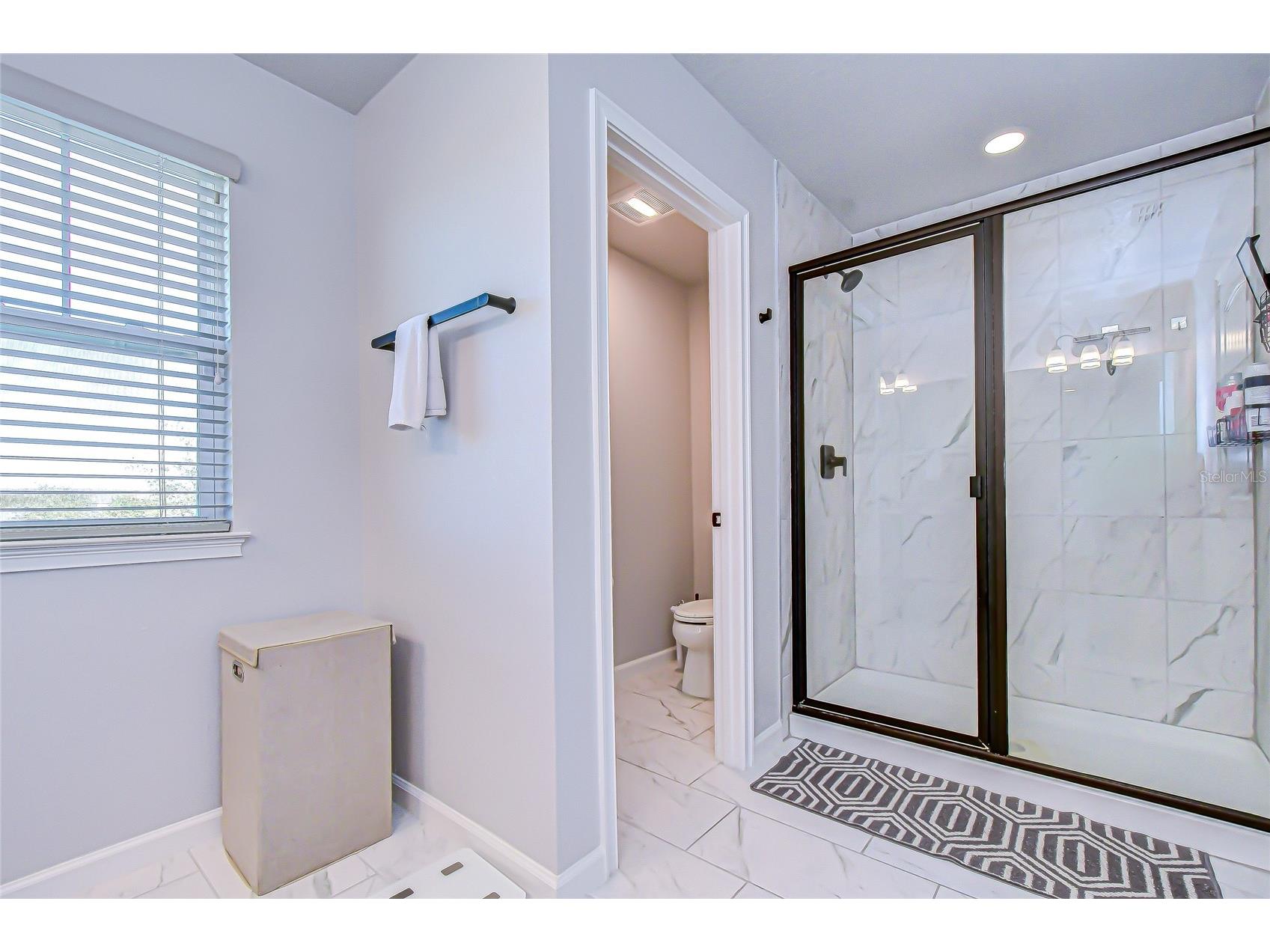 11724 Wrought Pine Loop Riverview FL 33569 TB8459256 image23