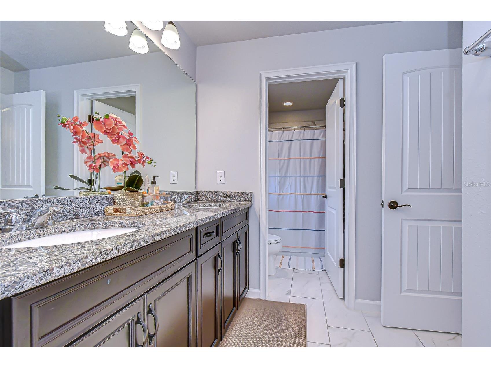 11724 Wrought Pine Loop Riverview FL 33569 TB8459256 image27