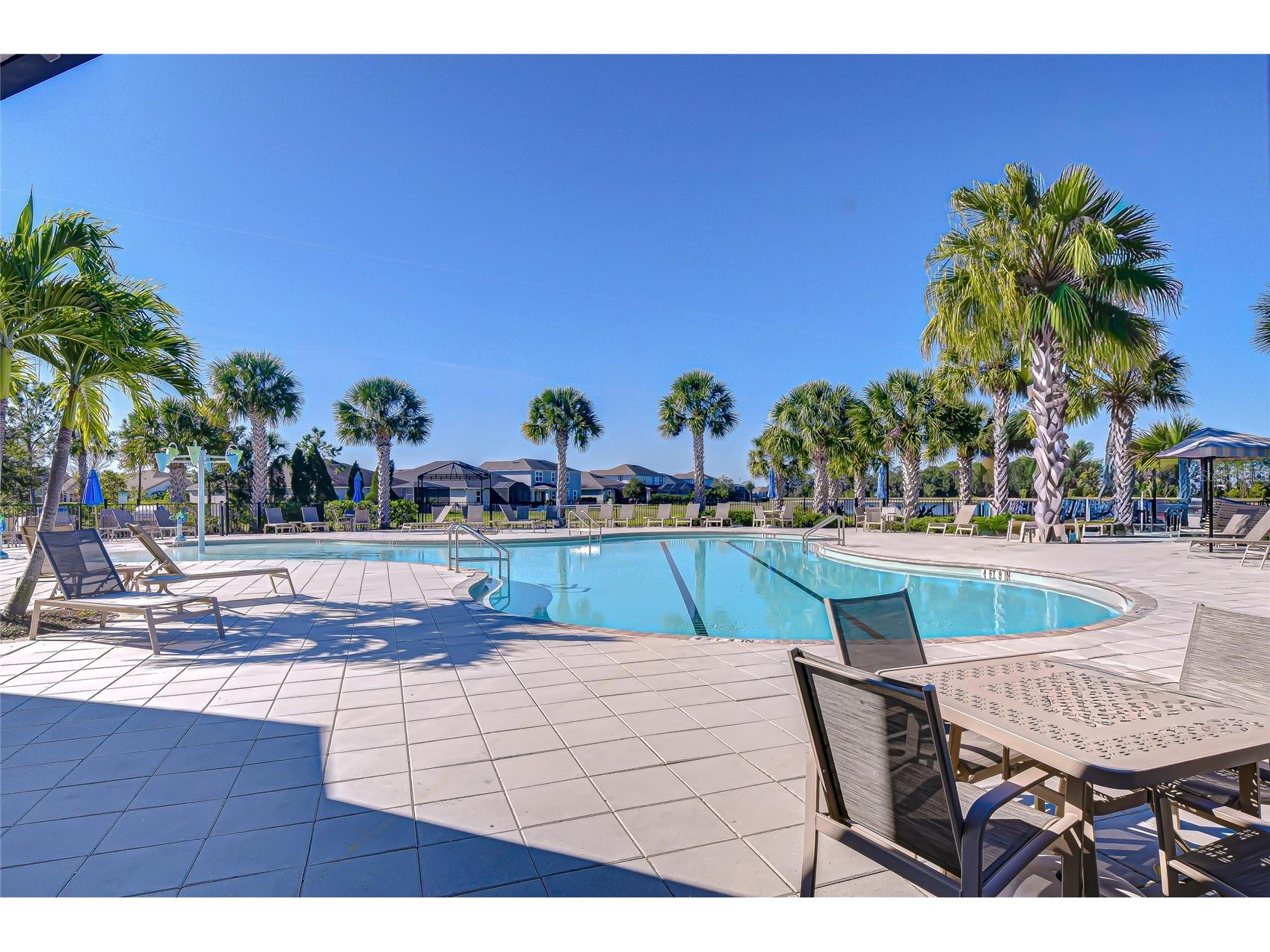 11724 Wrought Pine Loop Riverview FL 33569 TB8459256 image41