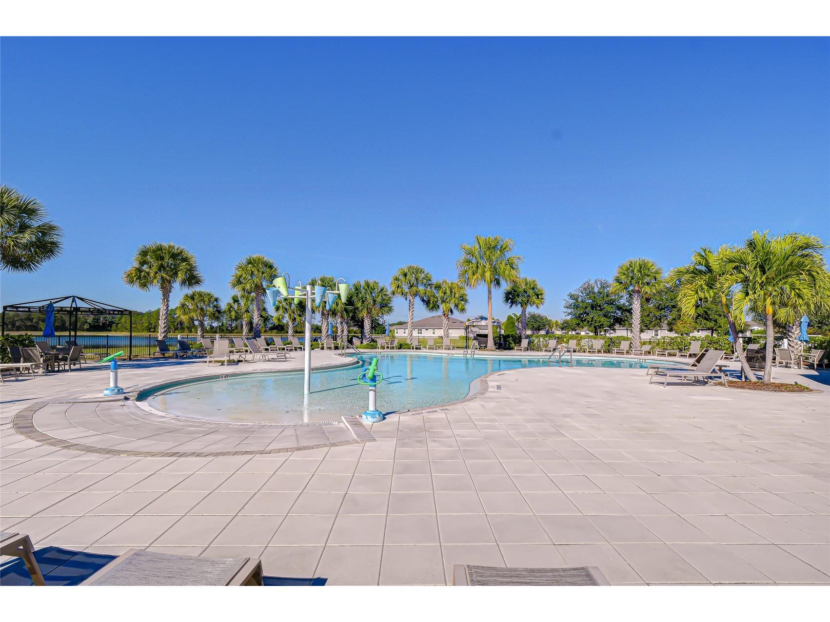 11724 Wrought Pine Loop Riverview FL 33569 TB8459256 image43