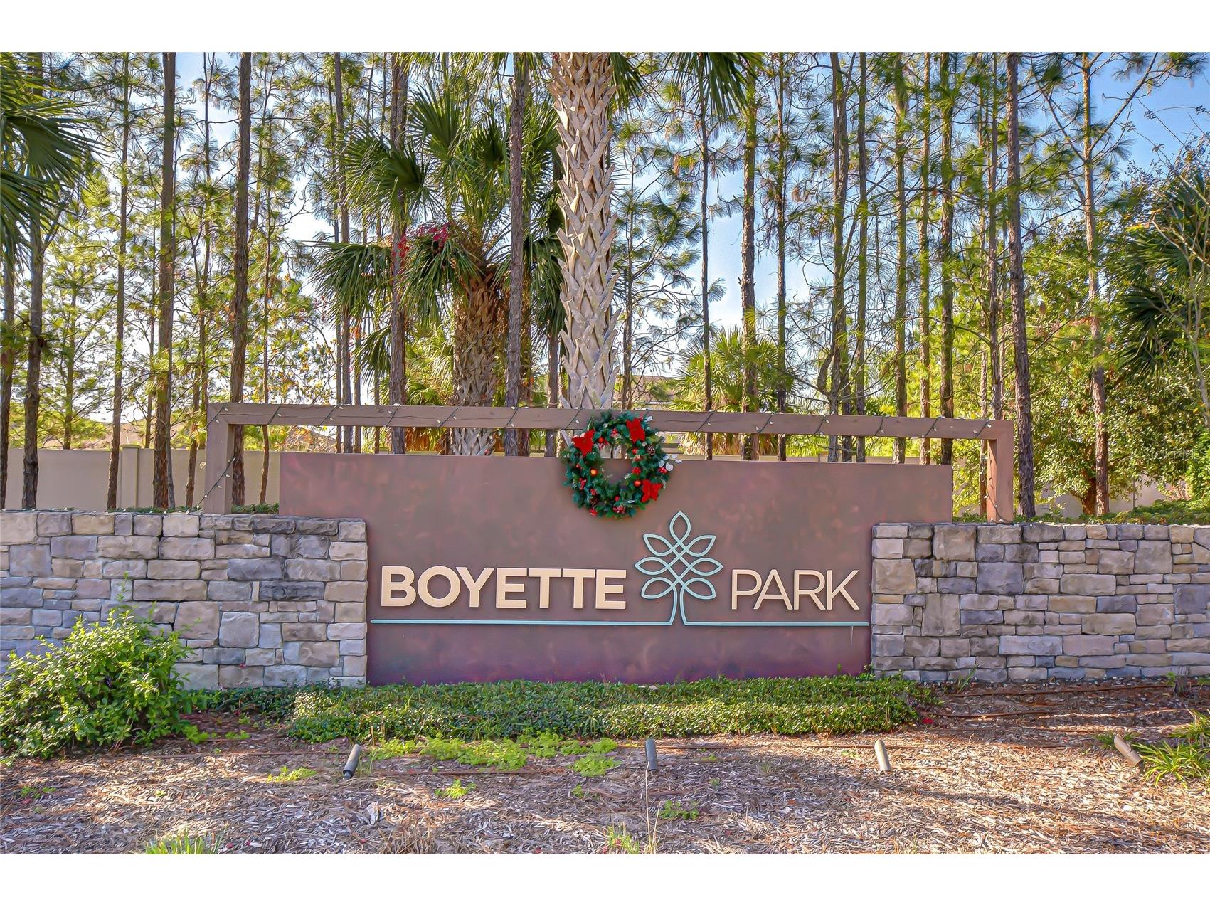 11724 Wrought Pine Loop Riverview FL 33569 TB8459256 image44