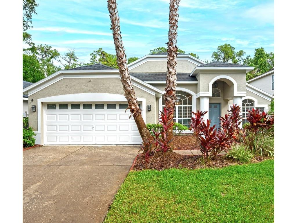 11725 Derbyshire Drive Tampa FL 33626 TB8403066 image1