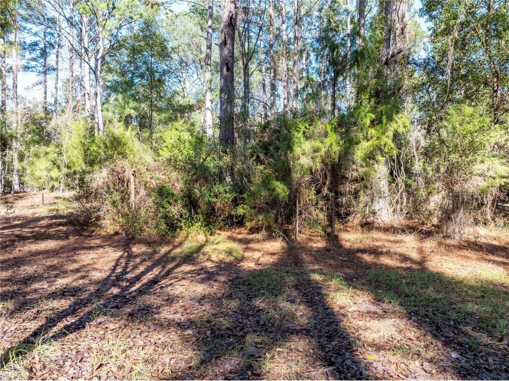 11727 162nd Terrace Mc Alpin FL 32062 TB8456699 image22