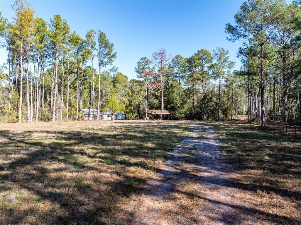 11727 162nd Terrace Mc Alpin FL 32062 TB8456699 image27