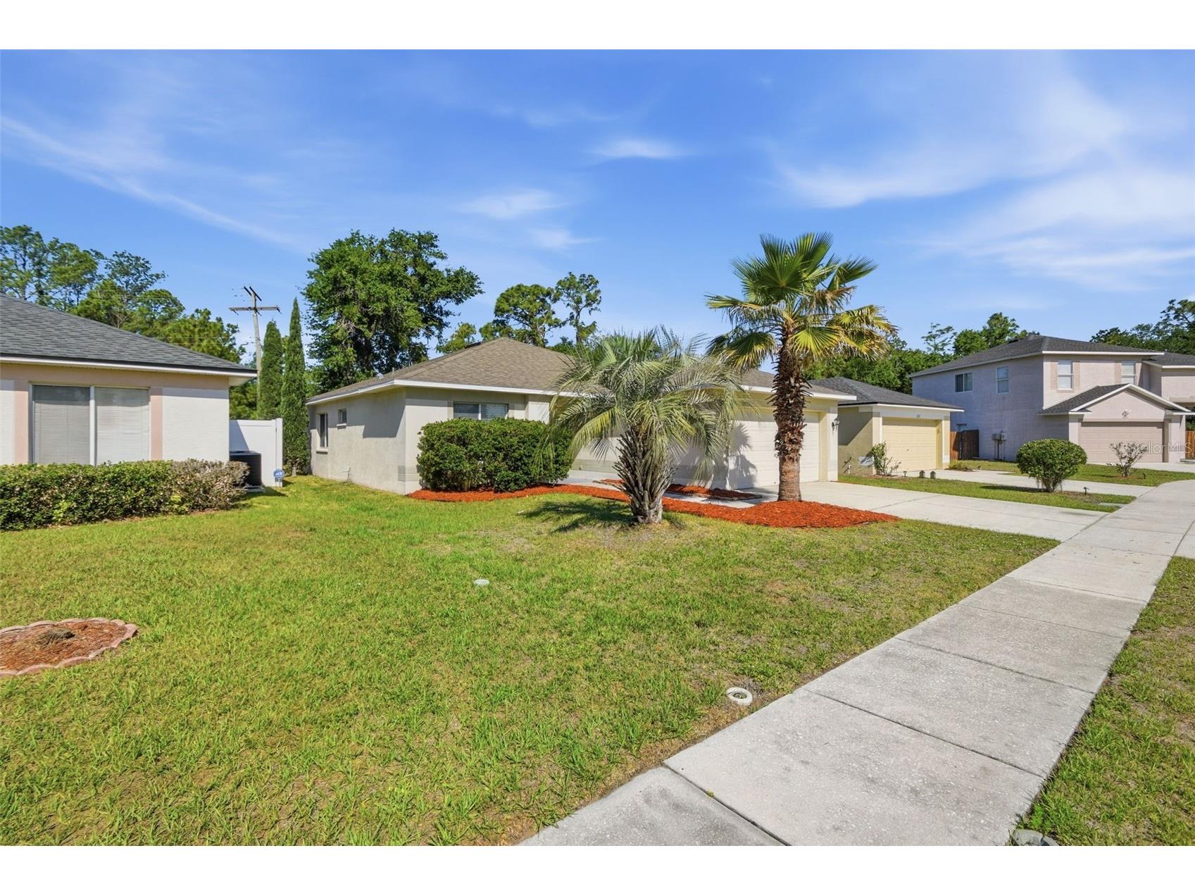 11727 Brenford Crest Drive Riverview FL 33579 O6406129 image1