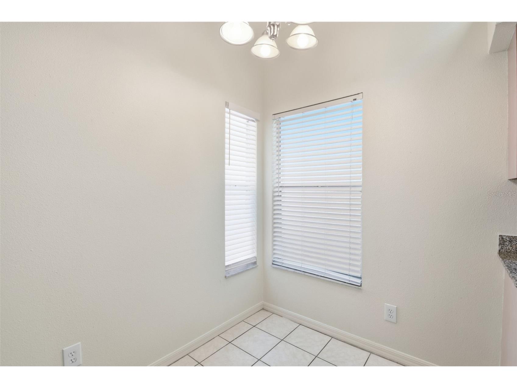11727 Brenford Crest Drive Riverview FL 33579 O6406129 image11