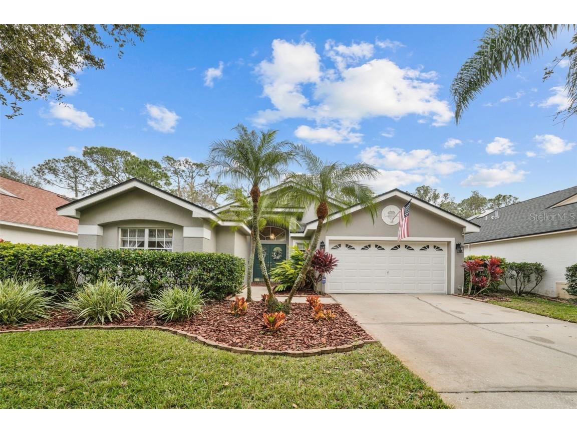 11727 Derbyshire Drive Tampa FL 33626 T3494495 image1