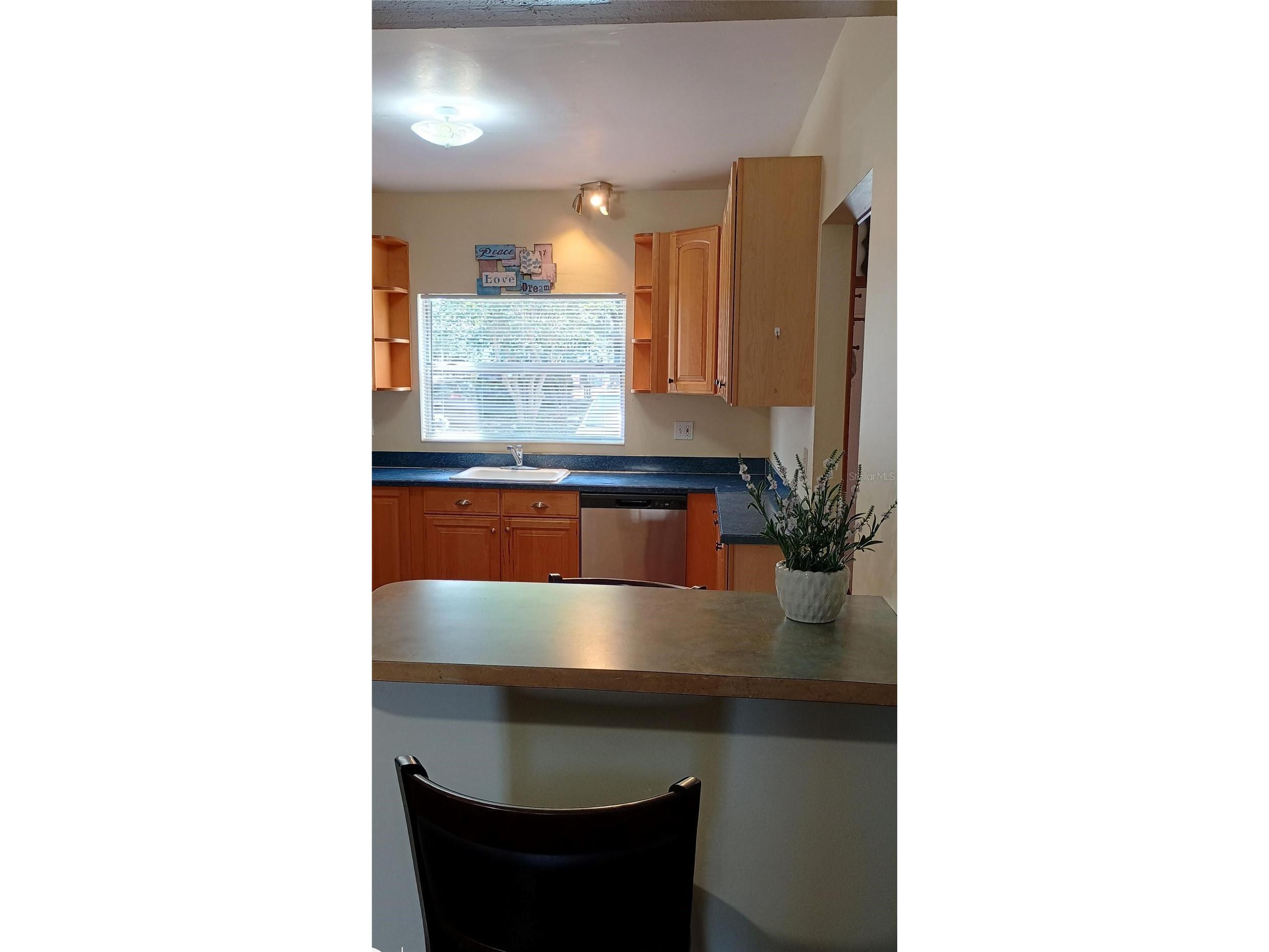 11727 Wesson Circle Tampa FL 33618 O6412666 image10