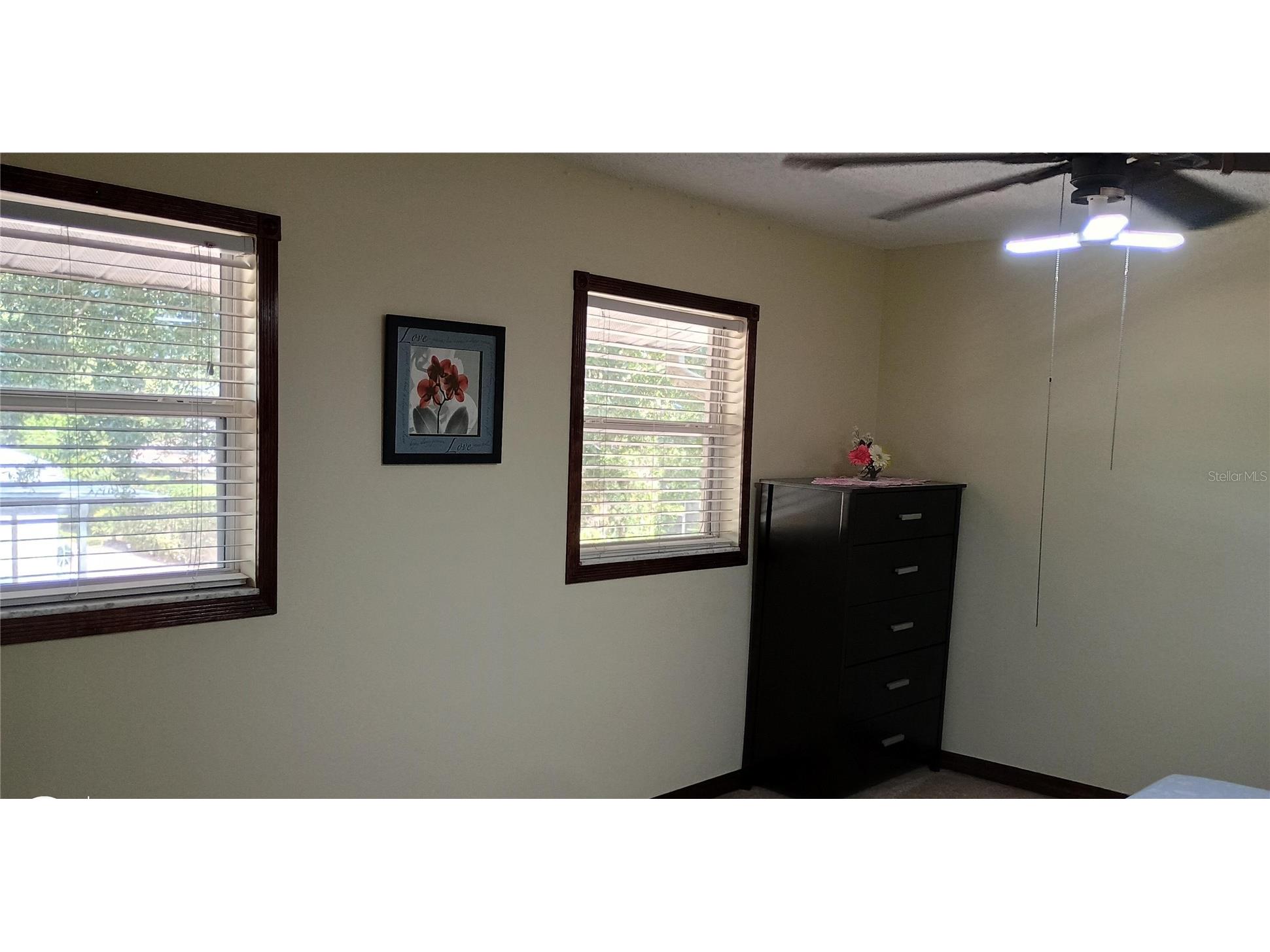 11727 Wesson Circle Tampa FL 33618 O6412666 image13