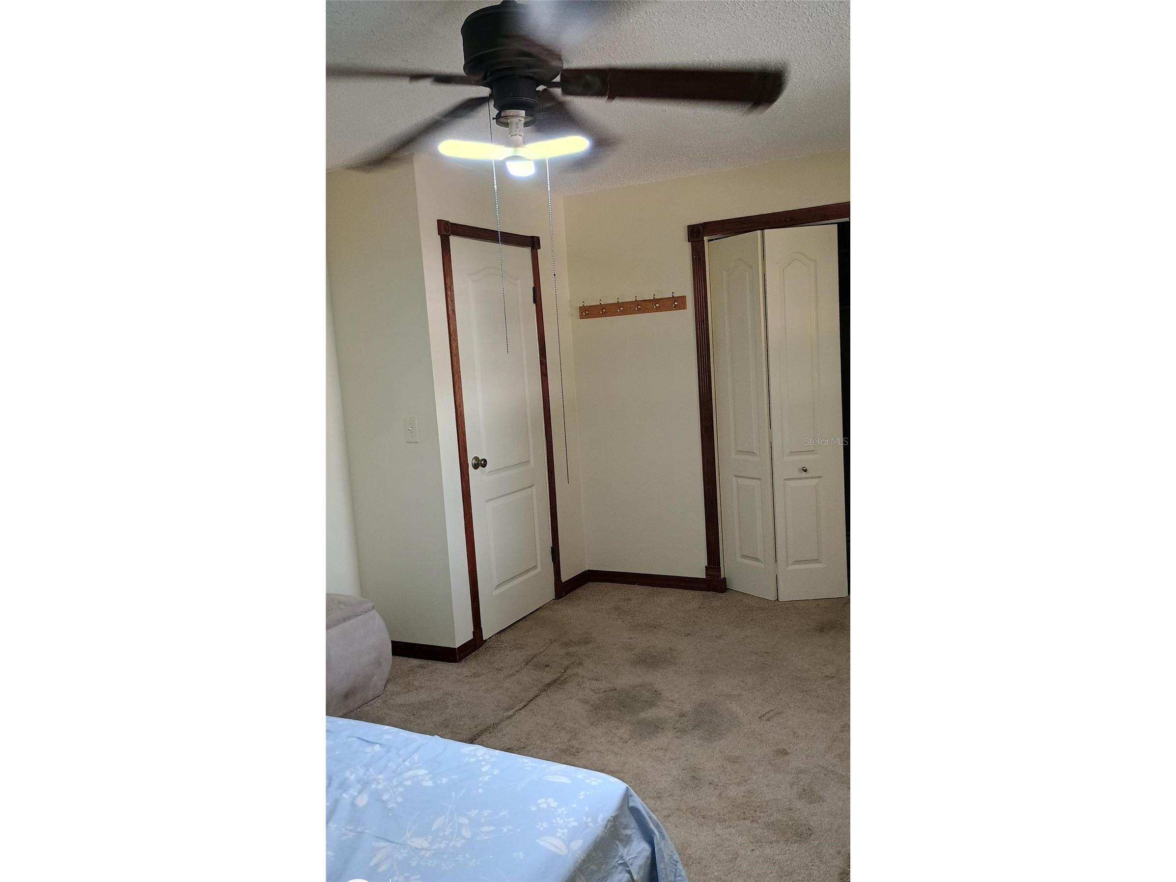 11727 Wesson Circle Tampa FL 33618 O6412666 image15