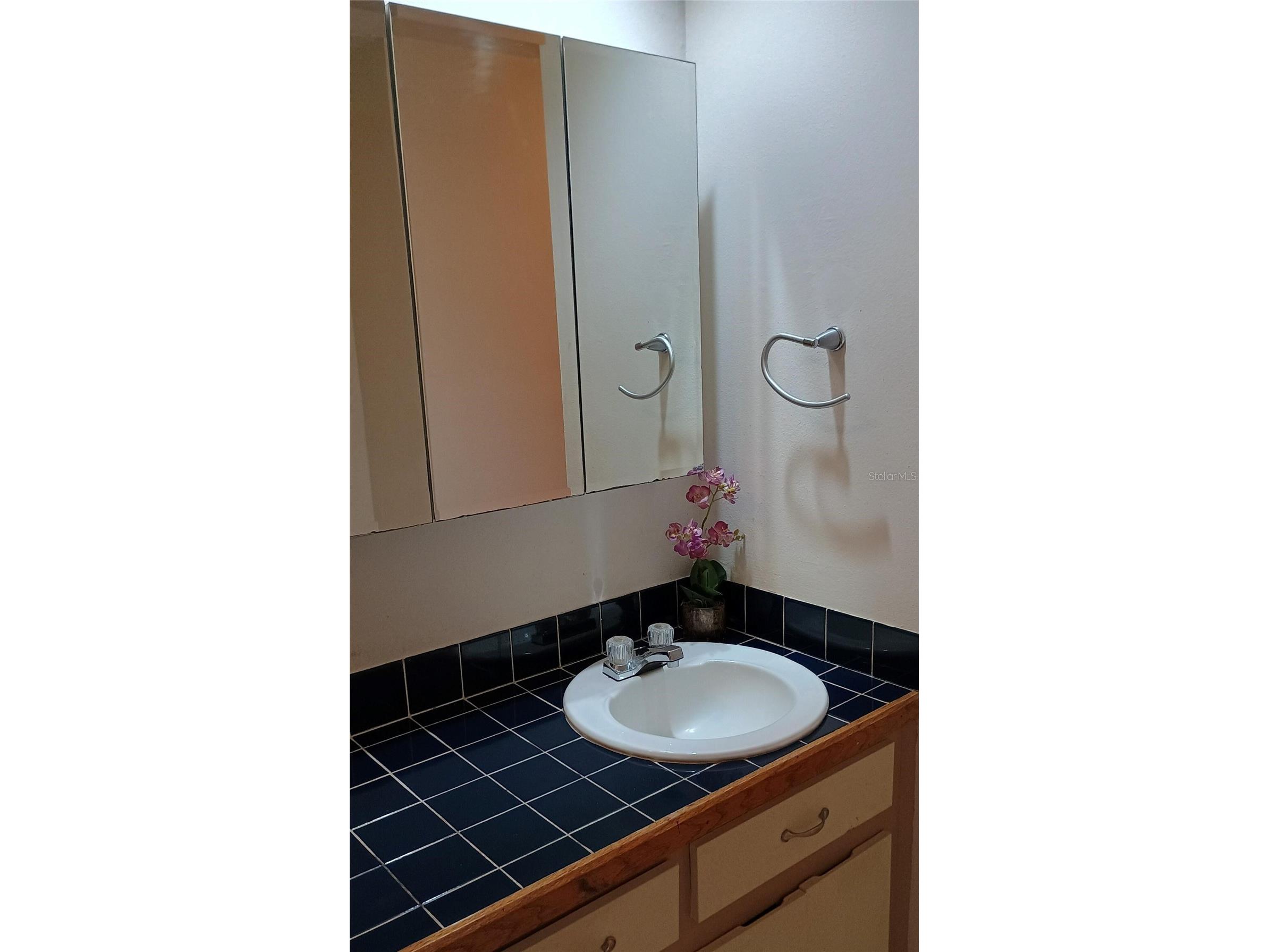 11727 Wesson Circle Tampa FL 33618 O6412666 image17