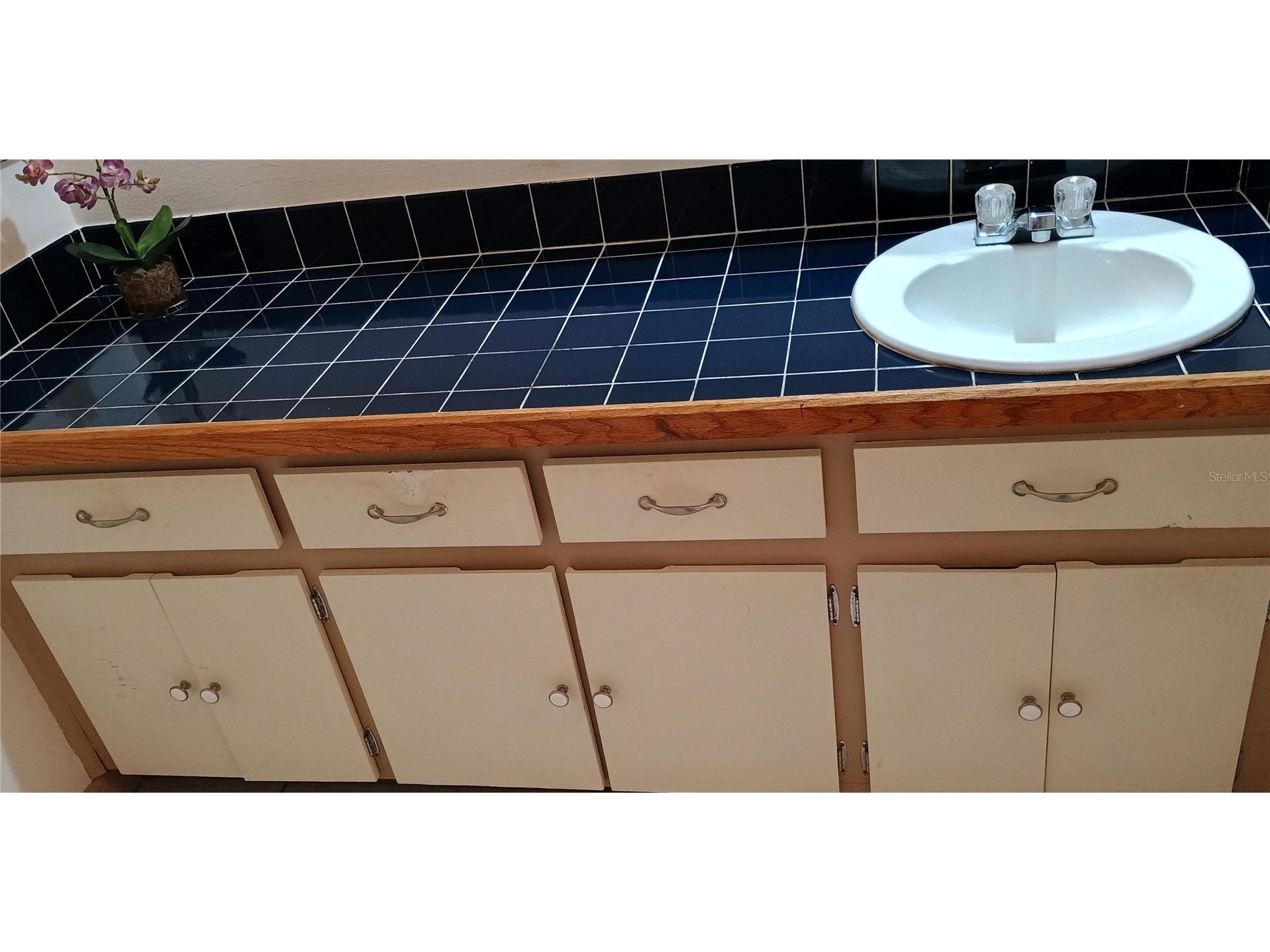 11727 Wesson Circle Tampa FL 33618 O6412666 image18