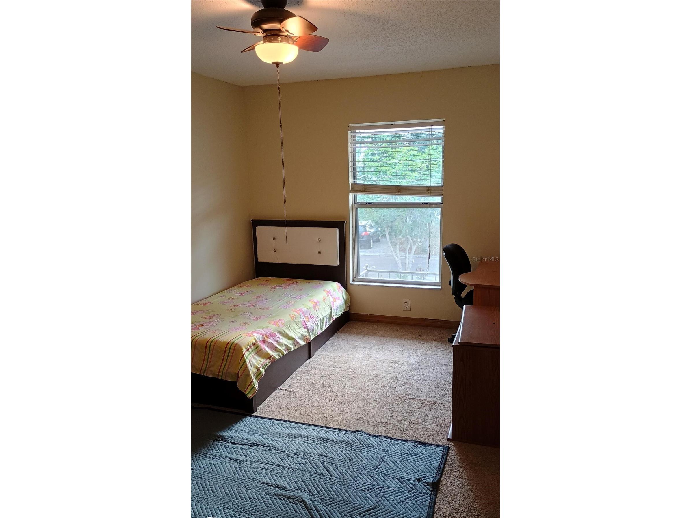 11727 Wesson Circle Tampa FL 33618 O6412666 image20