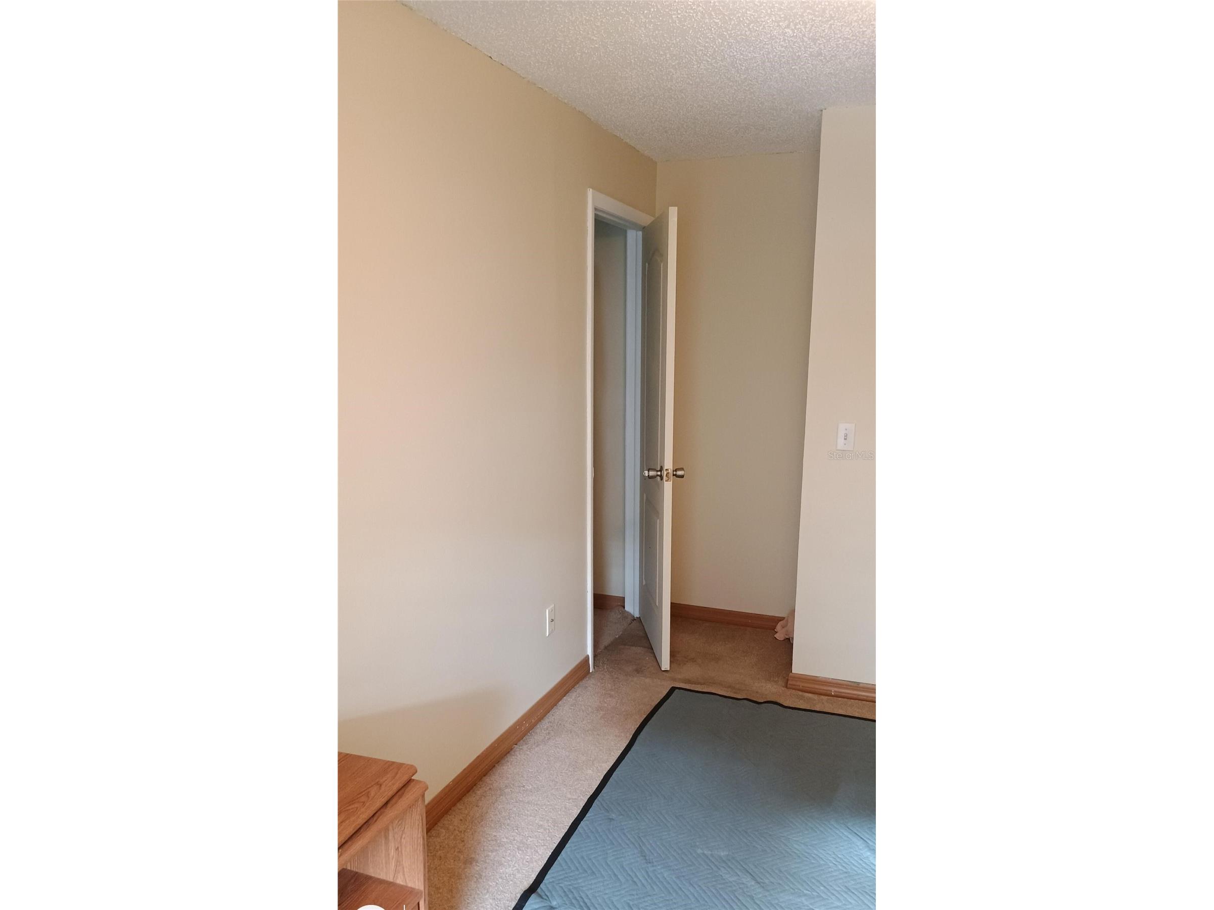 11727 Wesson Circle Tampa FL 33618 O6412666 image22