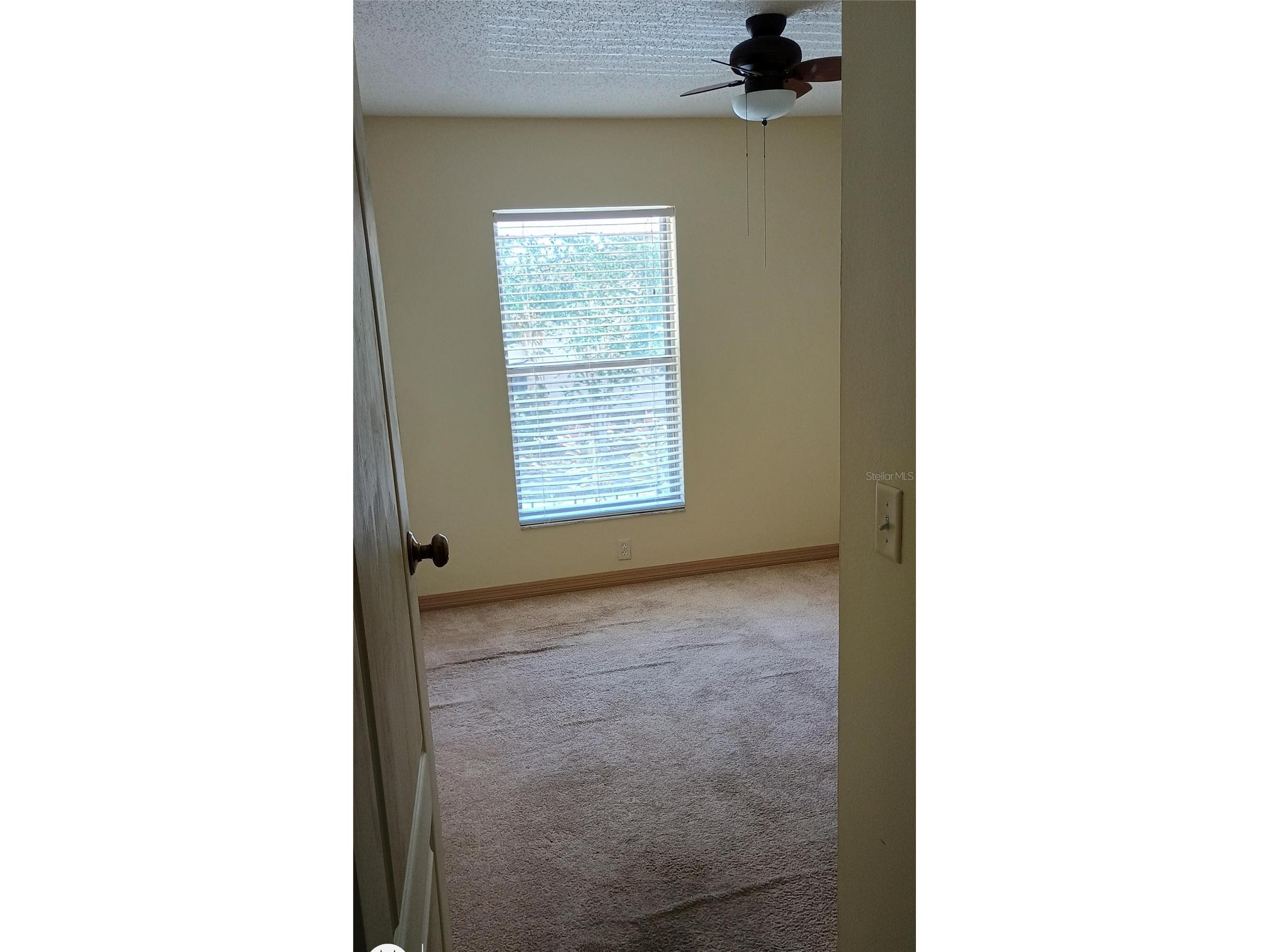 11727 Wesson Circle Tampa FL 33618 O6412666 image23