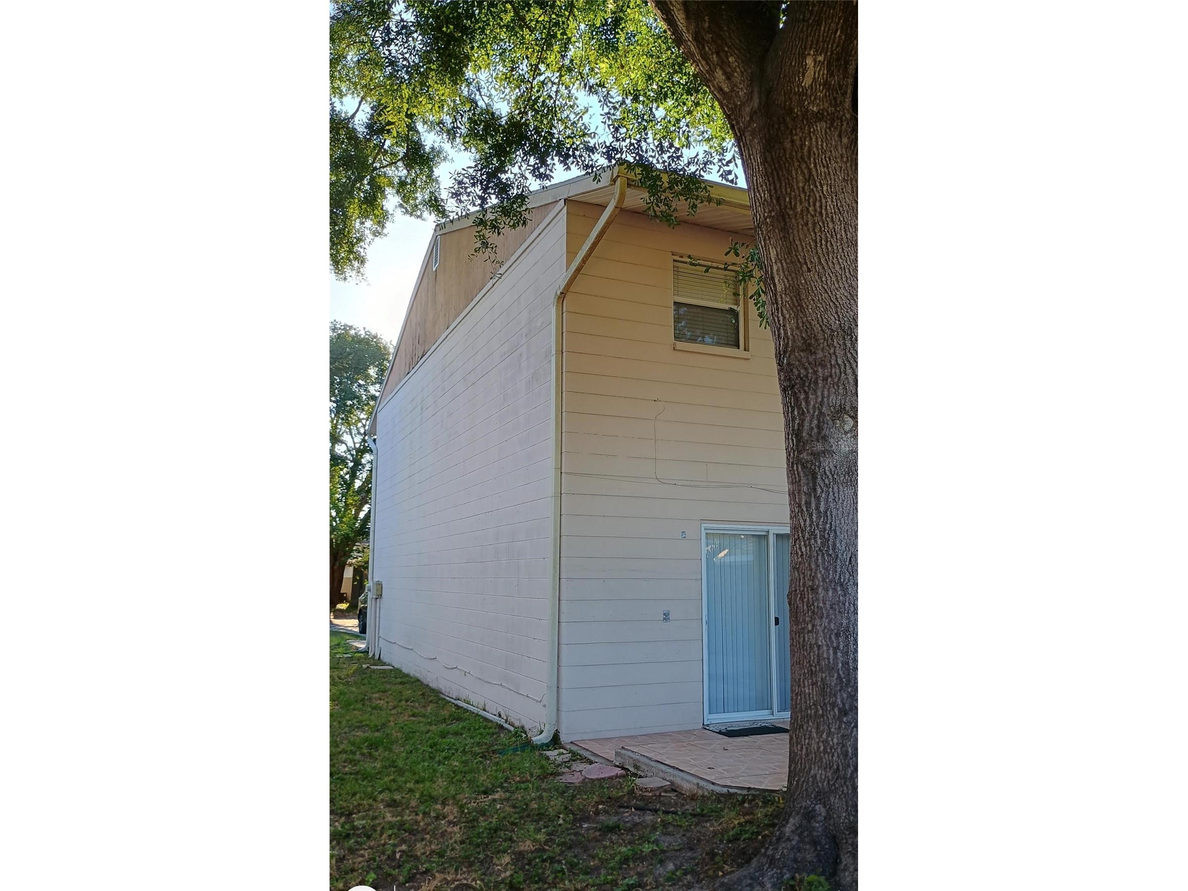 11727 Wesson Circle Tampa FL 33618 O6412666 image28