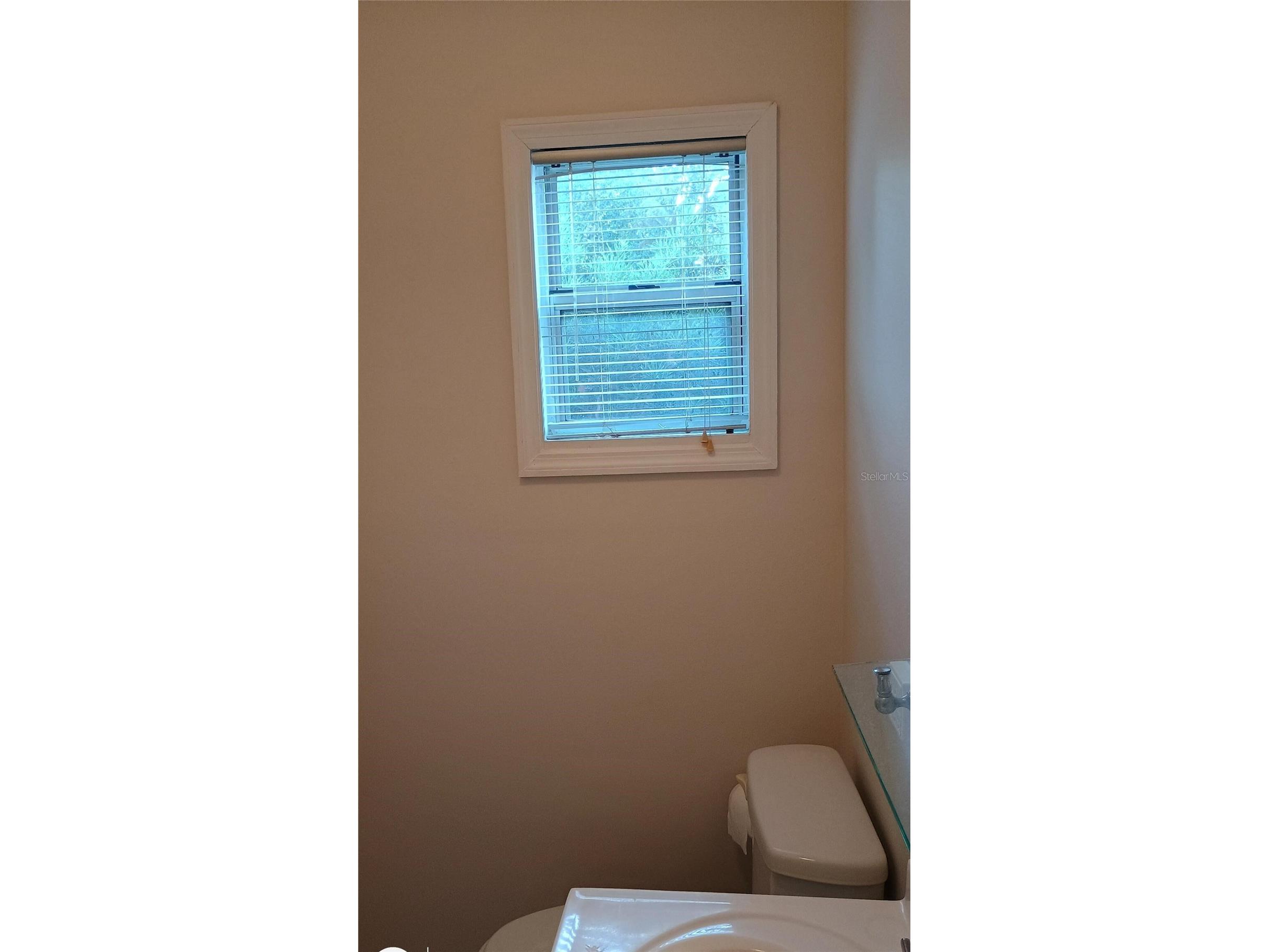 11727 Wesson Circle Tampa FL 33618 O6412666 image6