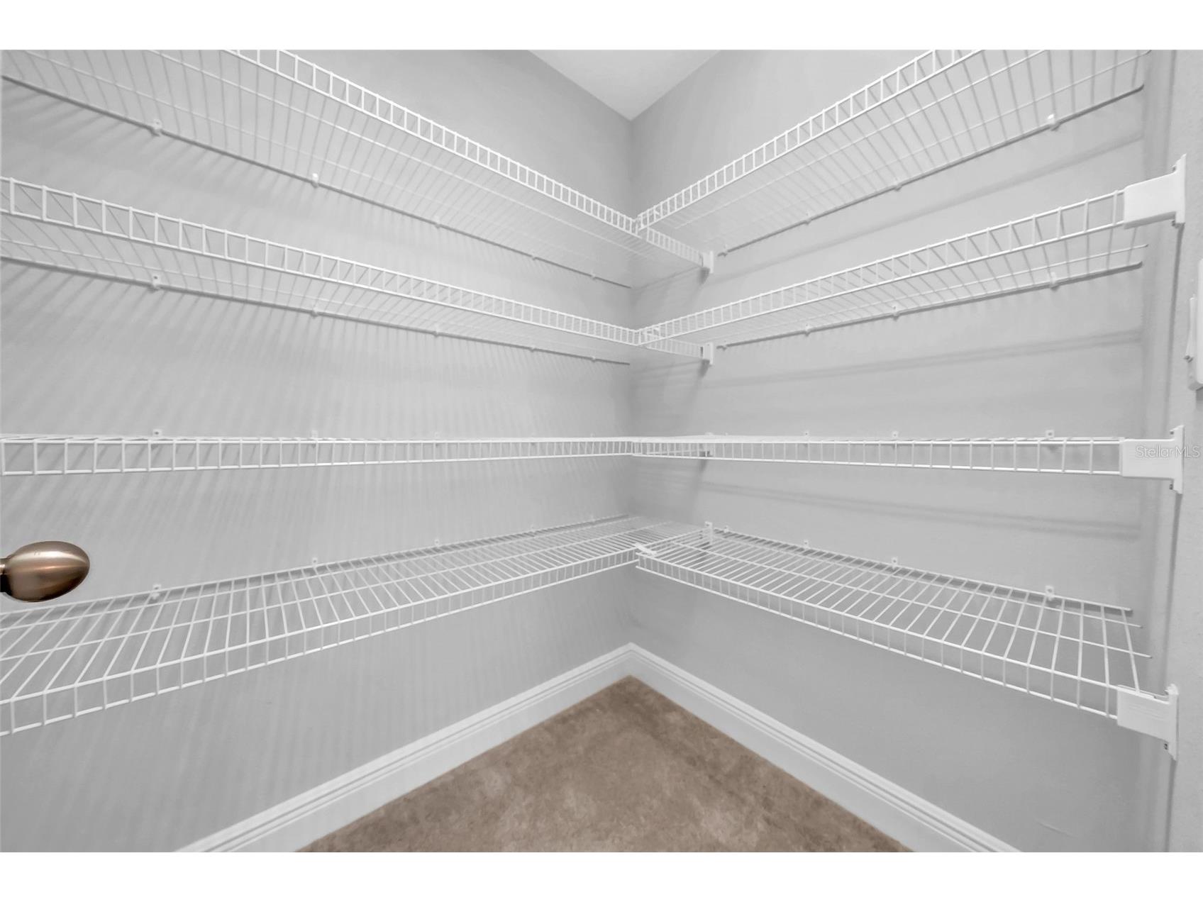 11728 Cambium Crown Drive Riverview FL 33569 TB8503642 image22