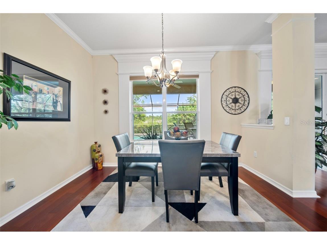 11729 Newberry Grove Loop Riverview FL 33579 TB8397415 image17