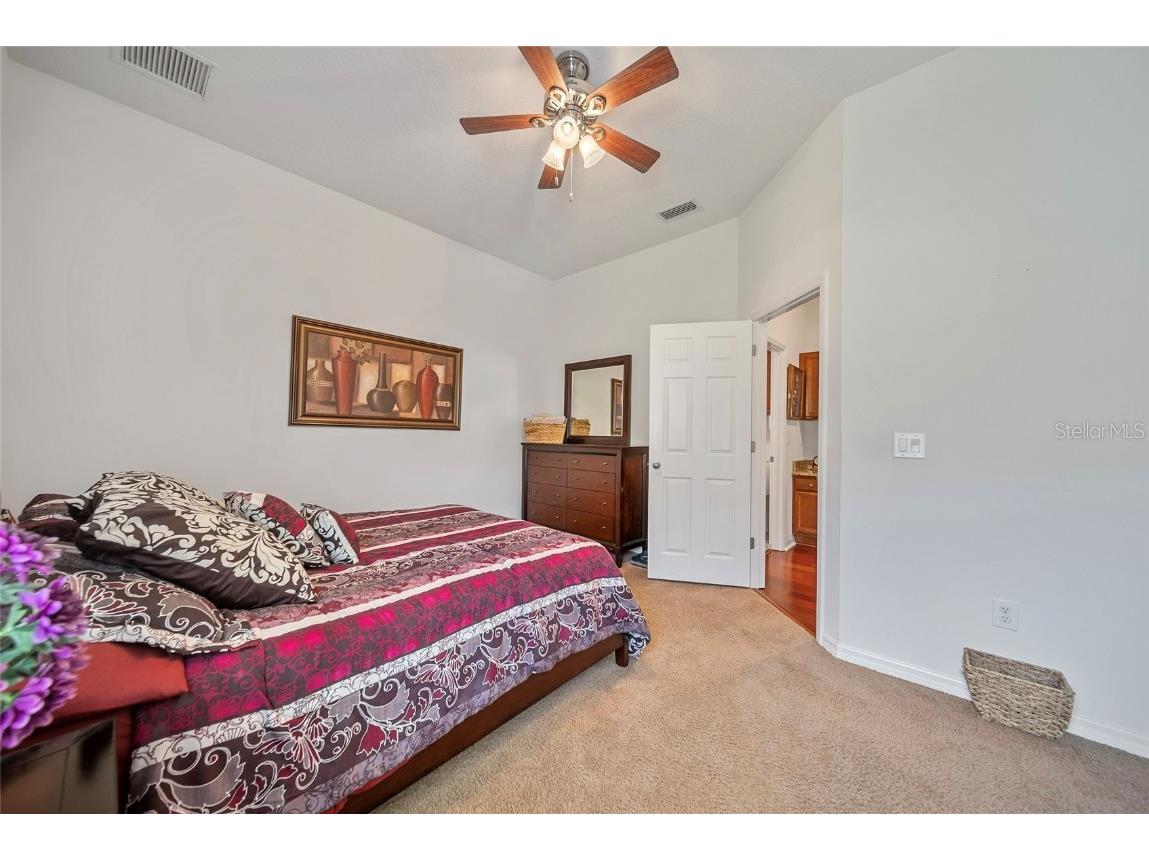 11729 Newberry Grove Loop Riverview FL 33579 TB8397415 image23