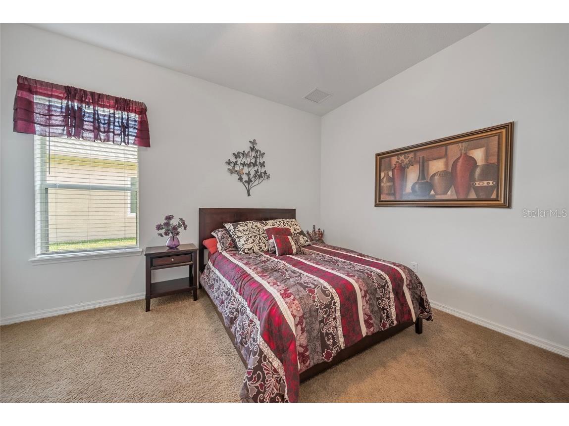 11729 Newberry Grove Loop Riverview FL 33579 TB8397415 image24