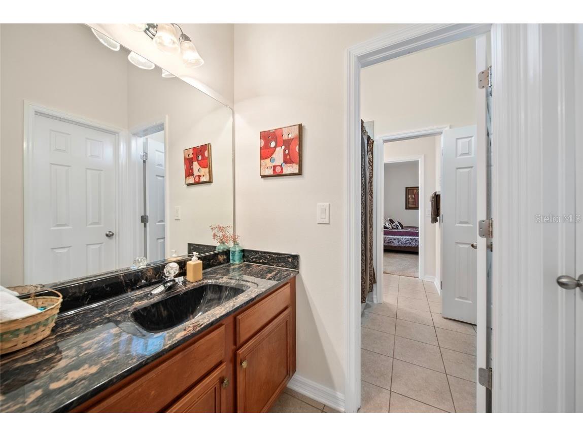 11729 Newberry Grove Loop Riverview FL 33579 TB8397415 image27