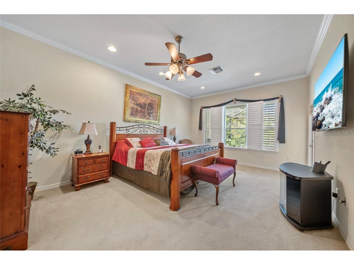 11729 Newberry Grove Loop Riverview FL 33579 TB8397415 image34