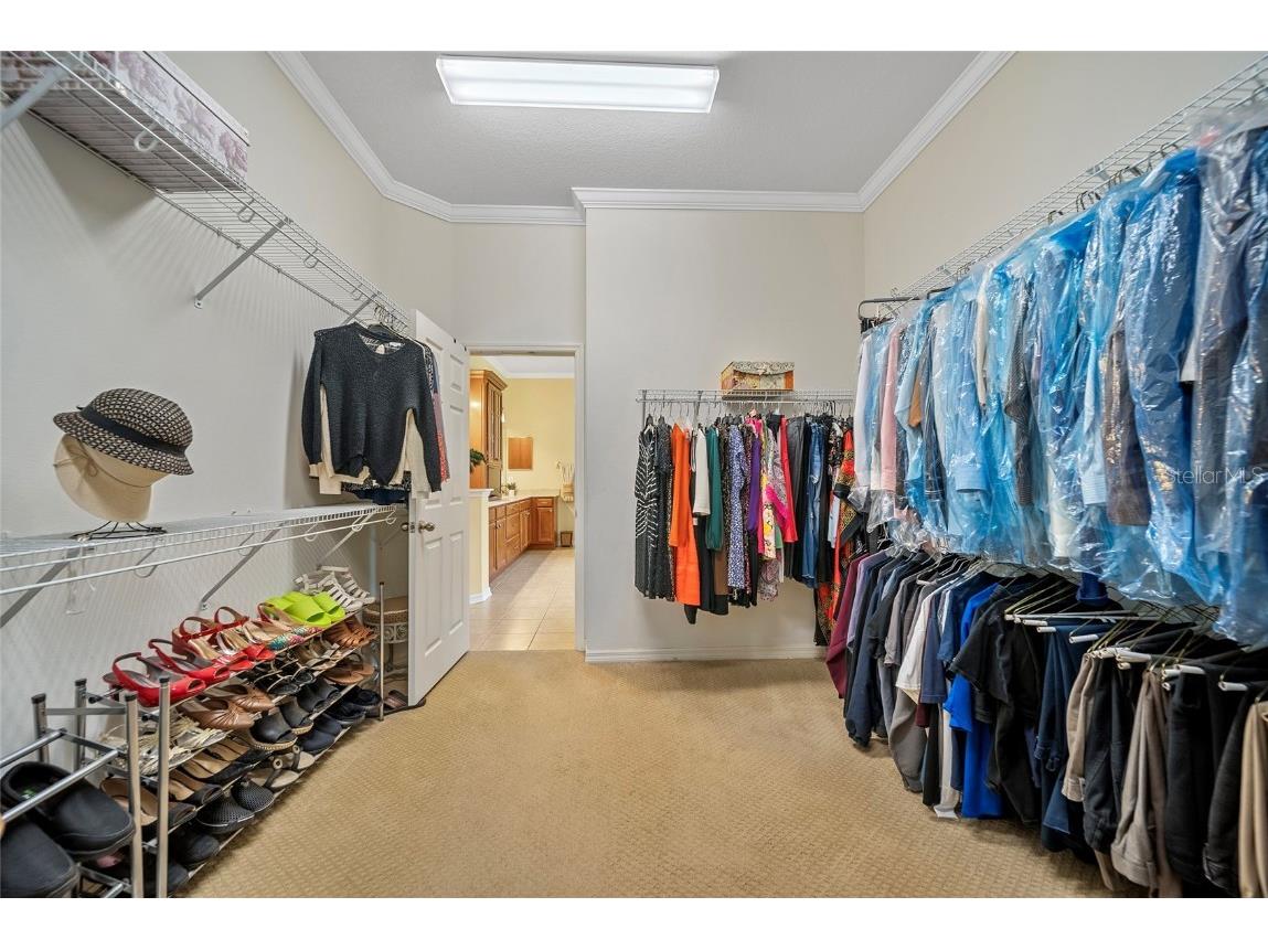 11729 Newberry Grove Loop Riverview FL 33579 TB8397415 image36