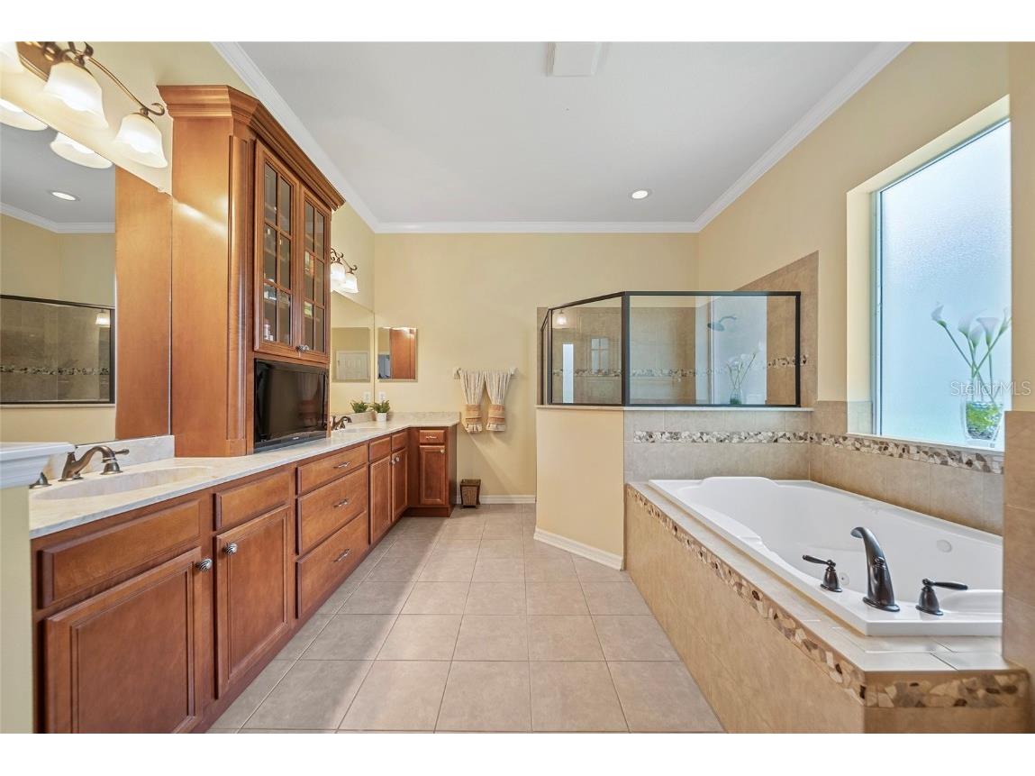 11729 Newberry Grove Loop Riverview FL 33579 TB8397415 image37